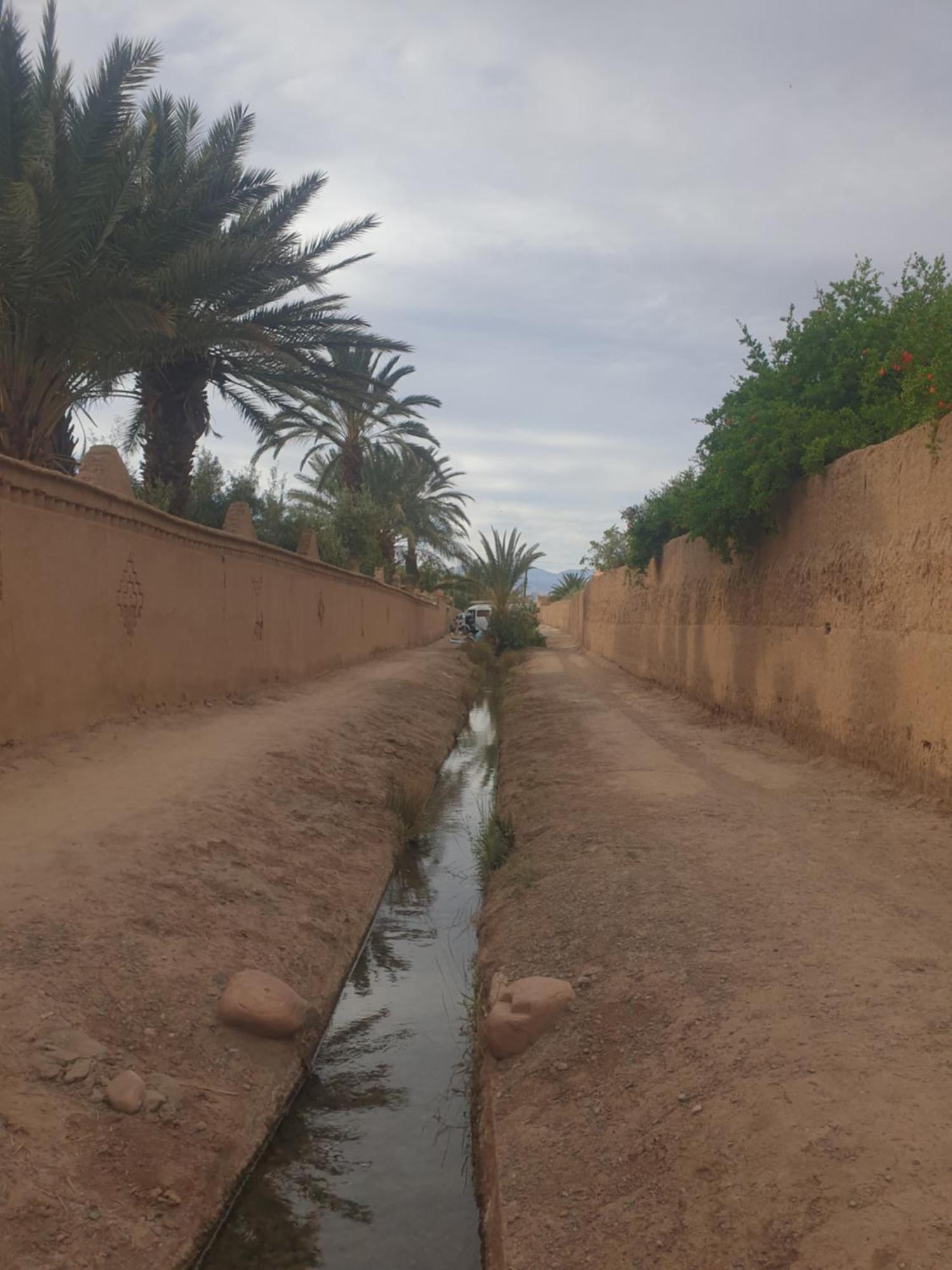 Gite Kasbah La Palmeraie Skoura Exterior foto