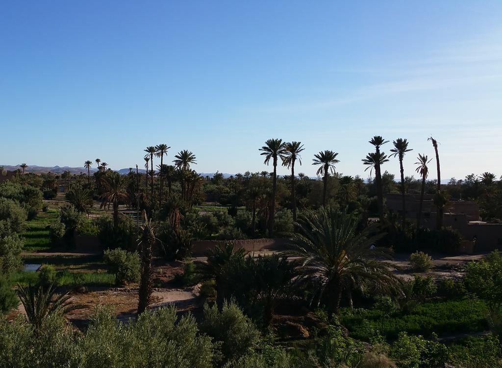 Gite Kasbah La Palmeraie Skoura Exterior foto